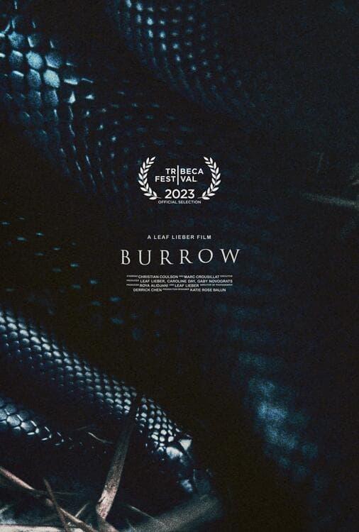 Burrow poster