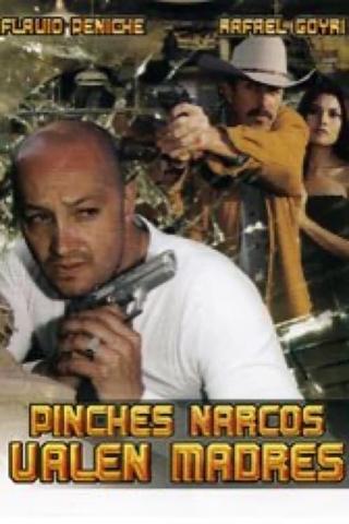 Pinches narcos... valen madre poster