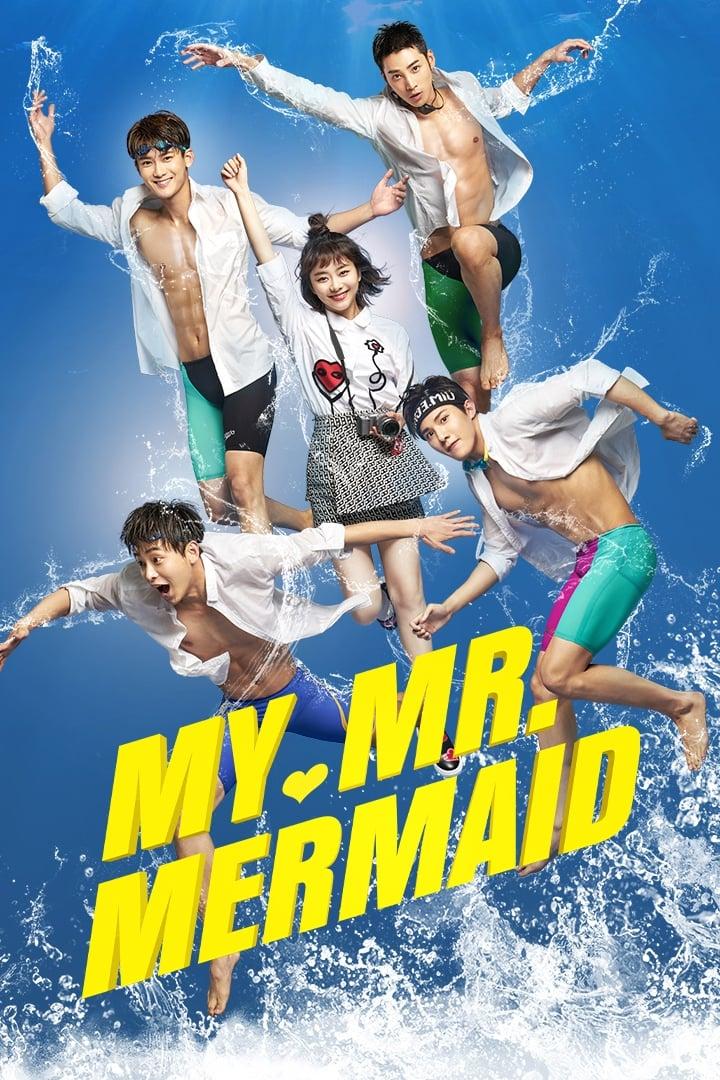 My Mr. Mermaid poster