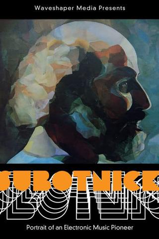 Subotnick: Portrait of an Electronic Music Pioneer poster