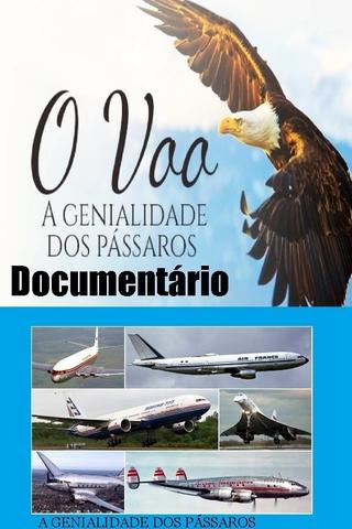 Documentário O voo poster