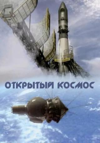 Открытый космос poster