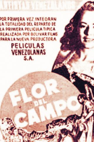 Flor del campo poster