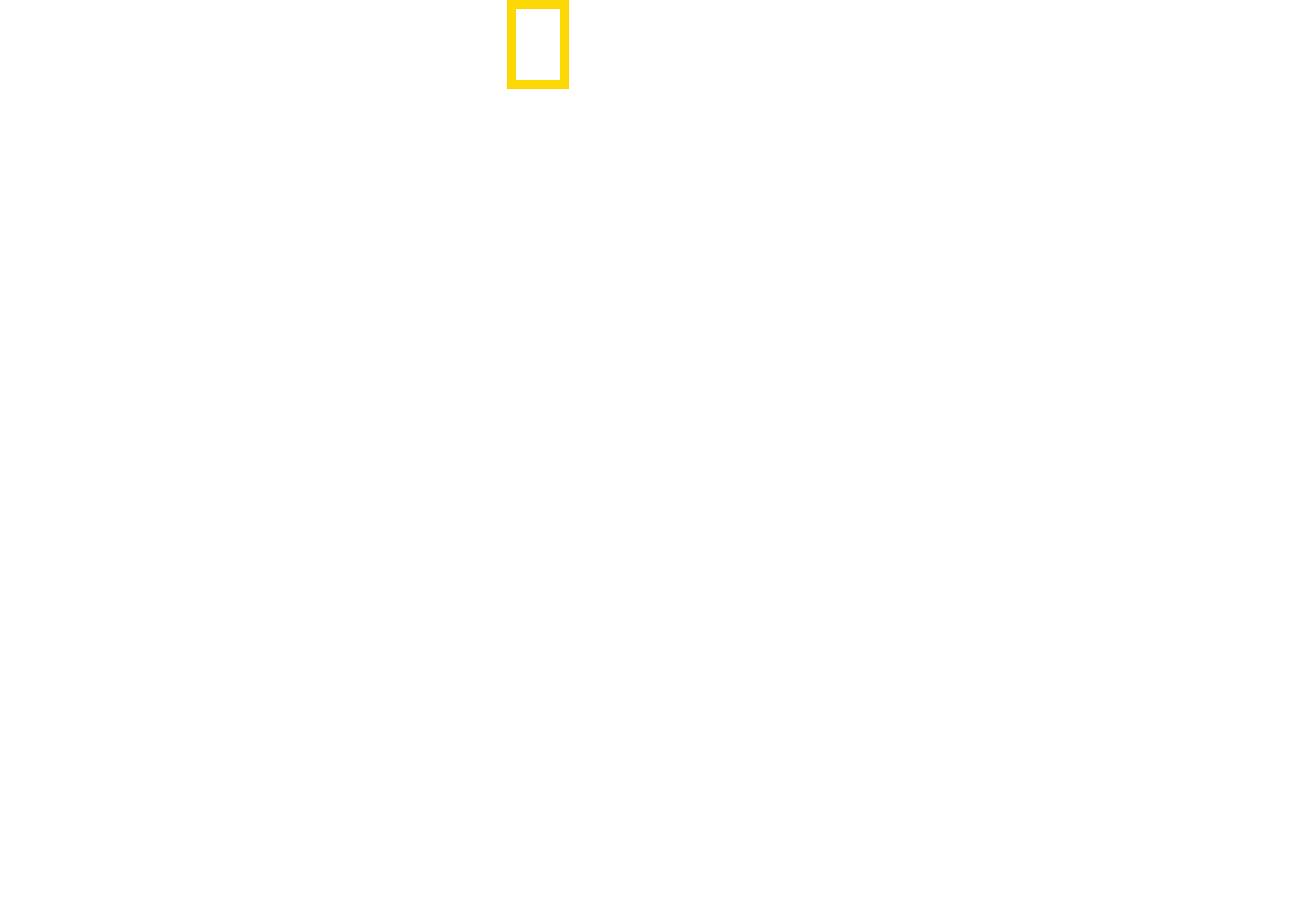 Shark Side of the Moon logo