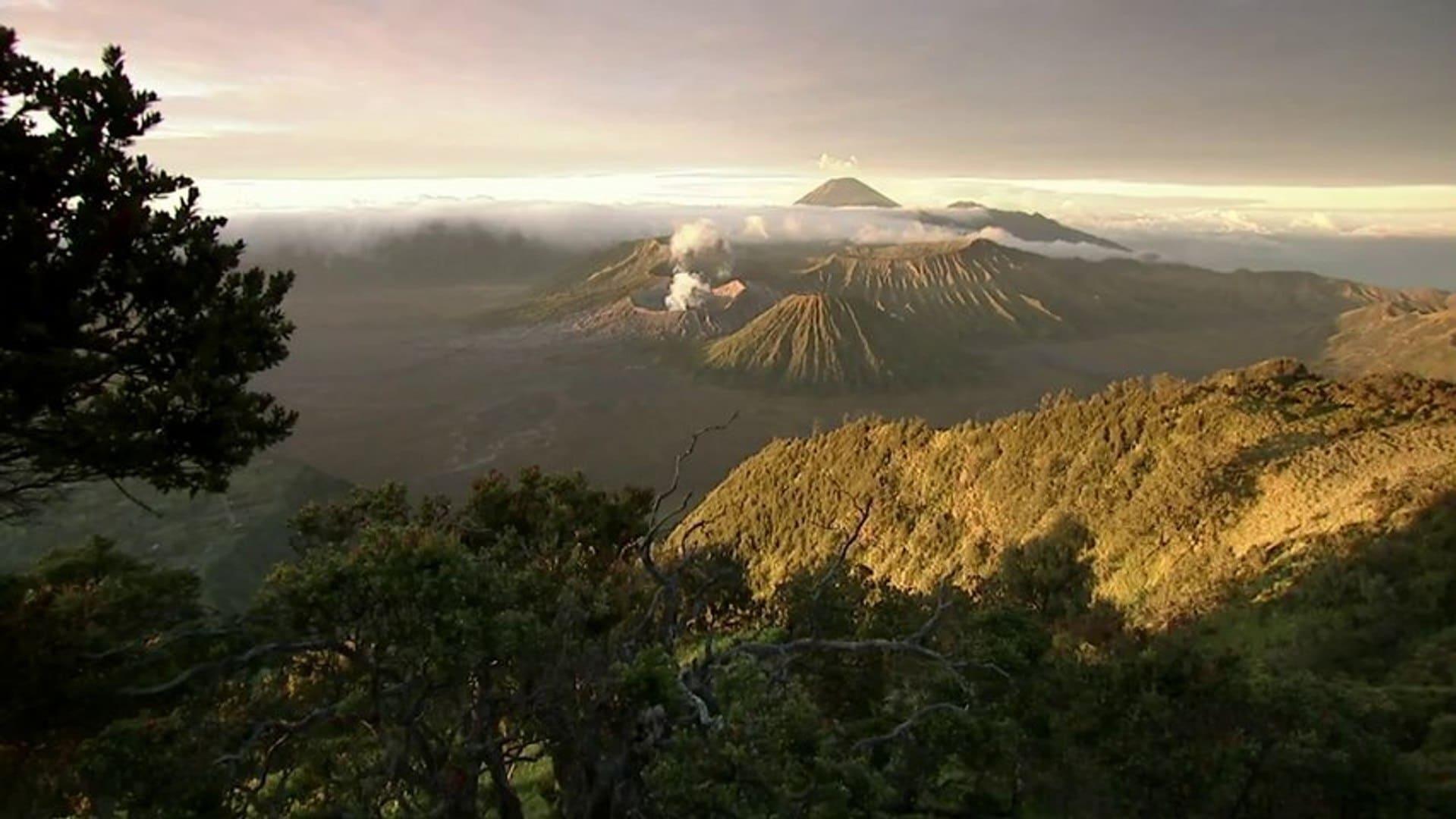 Voyage of the Continents backdrop