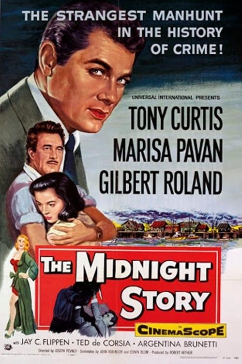 The Midnight Story poster