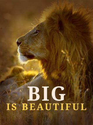 Big is Beautiful poster