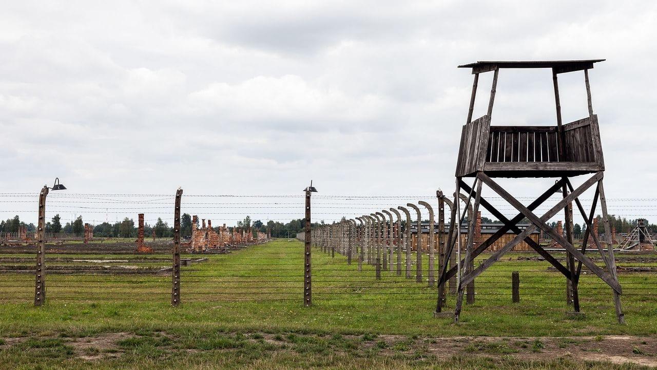 Les camps de concentration nazis - 1933 1945 backdrop