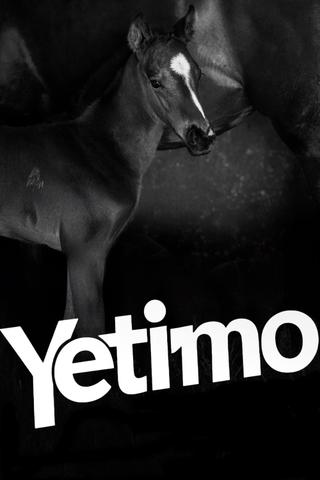 Yetimo poster