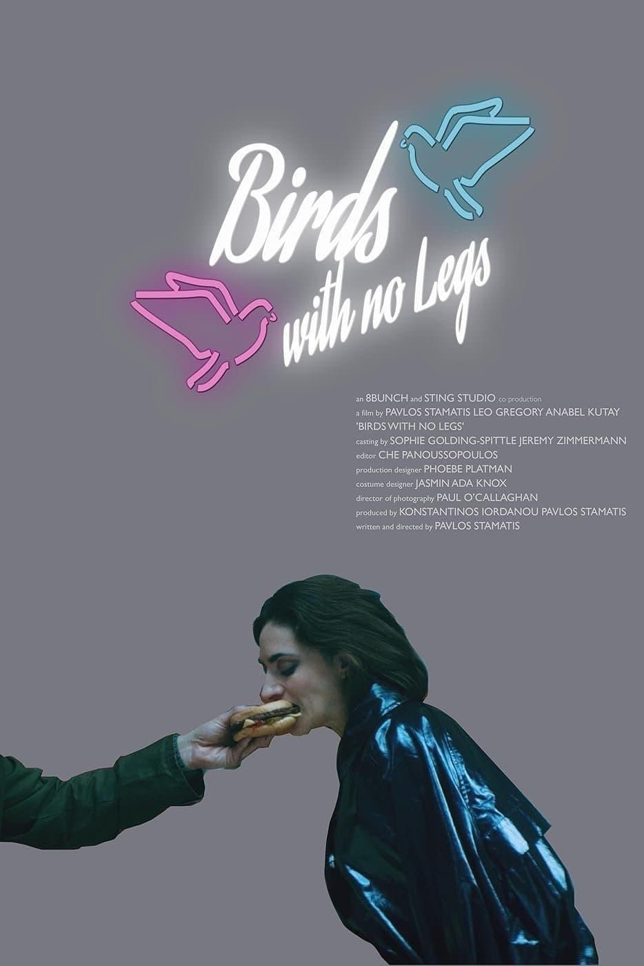 Birds with no legs poster