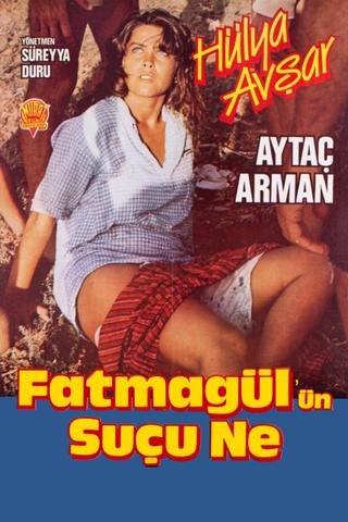 What's Fatmagül's Fault poster
