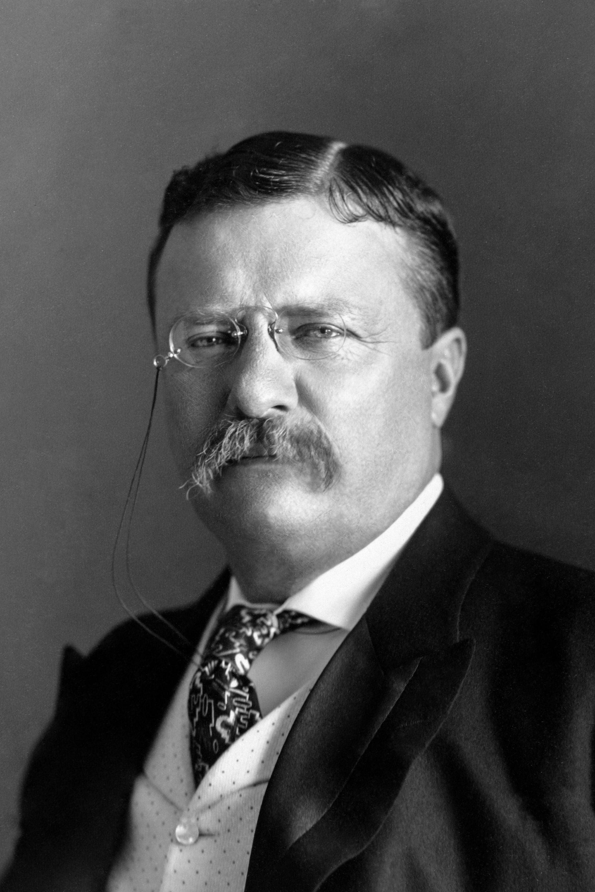 Theodore Roosevelt poster