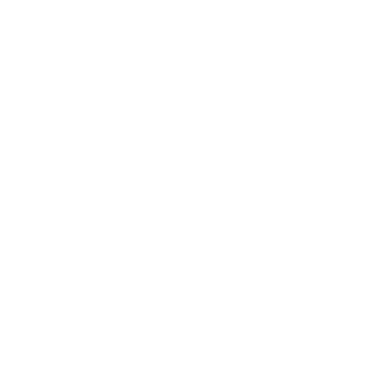 She's The One logo