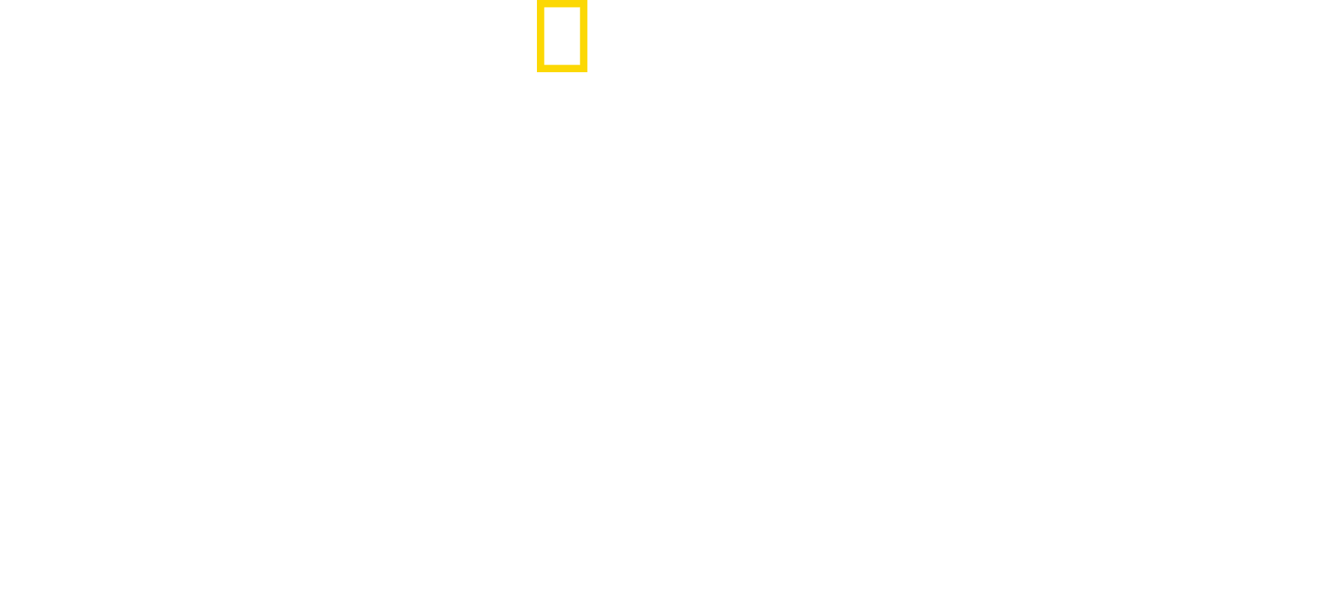 King Tut In Color logo
