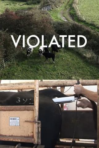 Violated poster