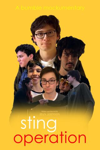 Sting Operation: A Bumble Mockumentary poster