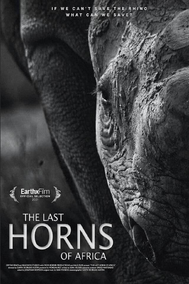 The Last Horns Of Africa poster