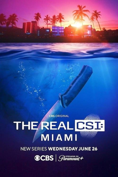 The Real CSI: Miami poster