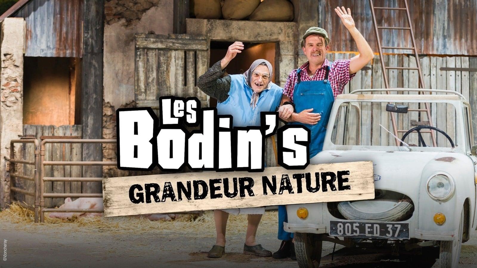 Les Bodin's : Grandeur Nature (@Zenith de Limoges) backdrop