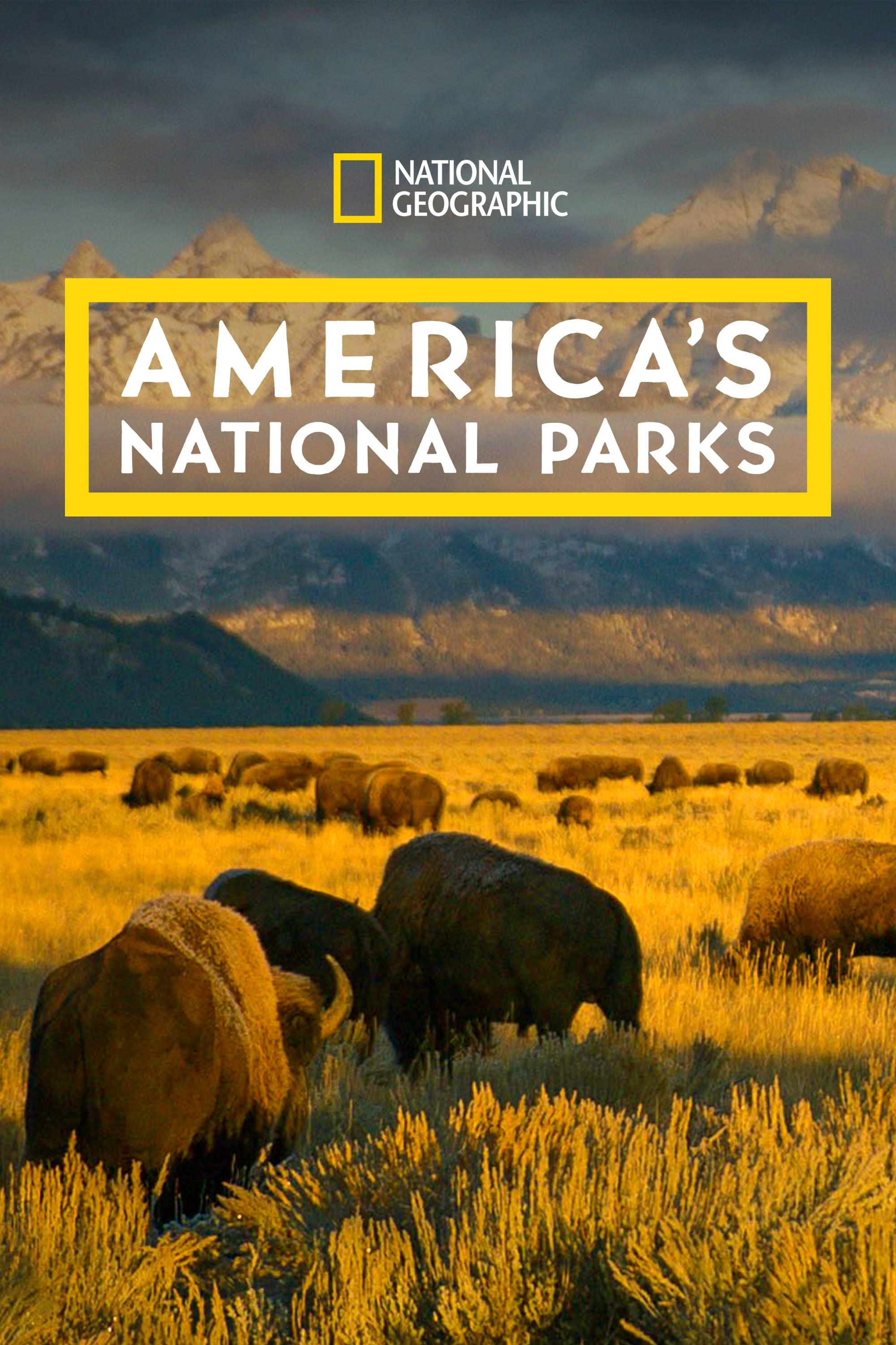America's National Parks poster