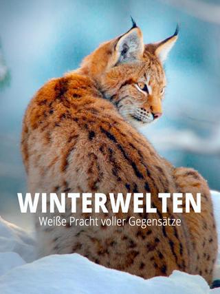Terra X - Wilde Winterwelten poster