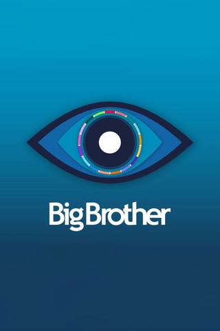 Big Brother poster