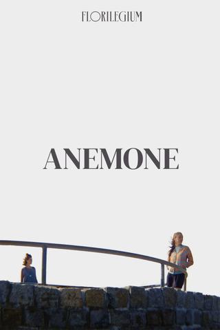 Anemone poster