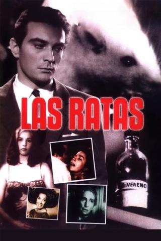The Rats poster
