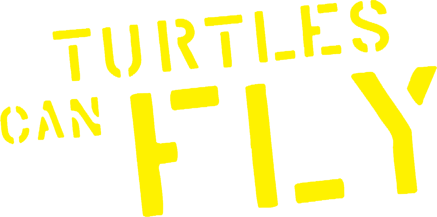 Turtles Can Fly logo