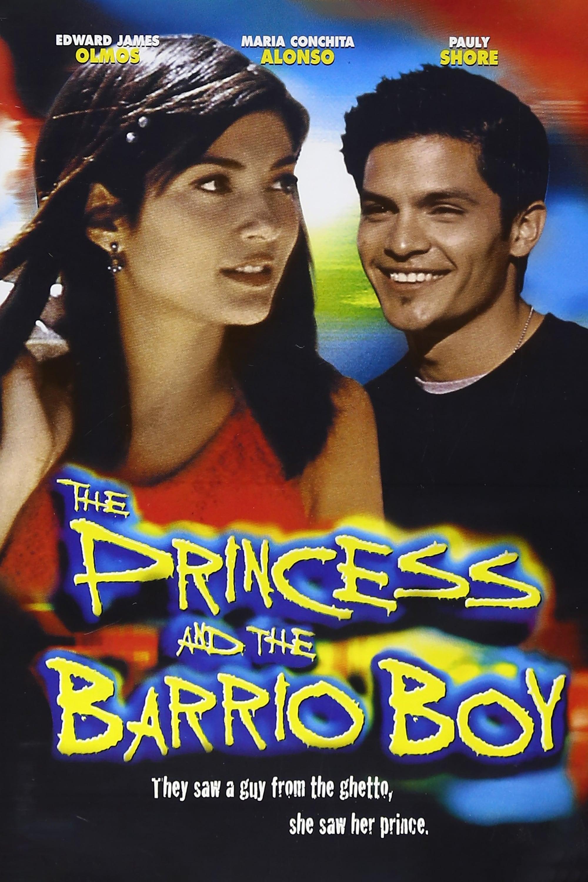 The Princess and the Barrio Boy poster