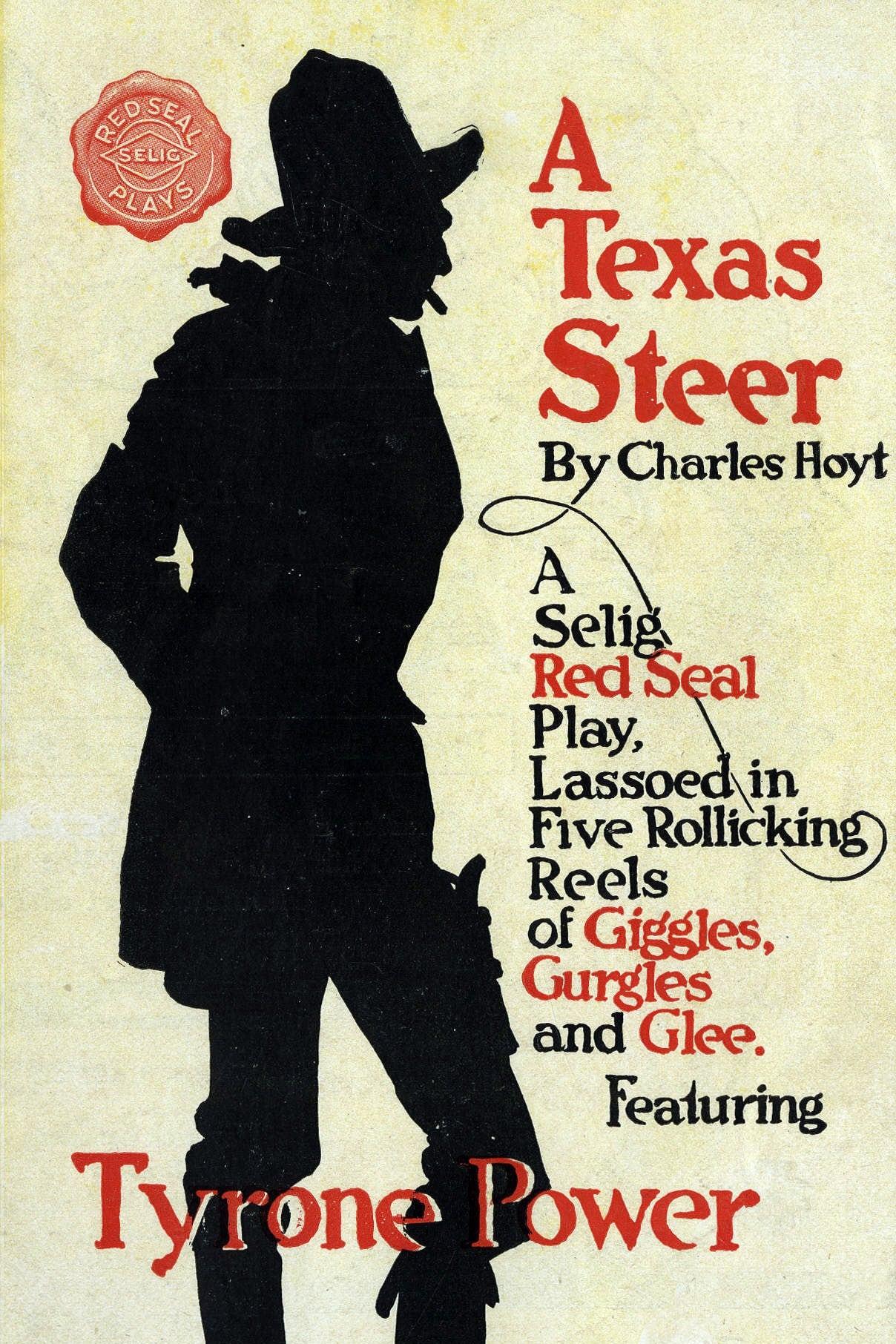 A Texas Steer poster