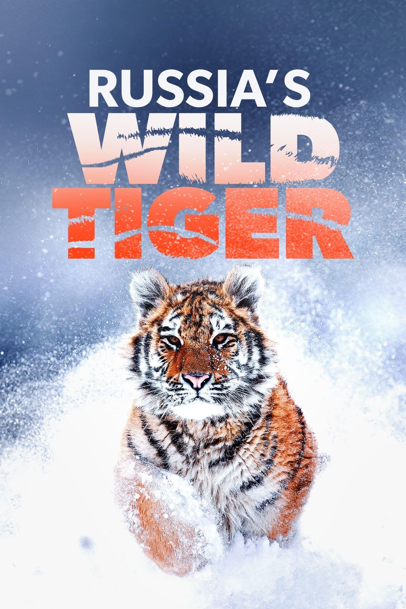 Russia's Wild Tiger poster