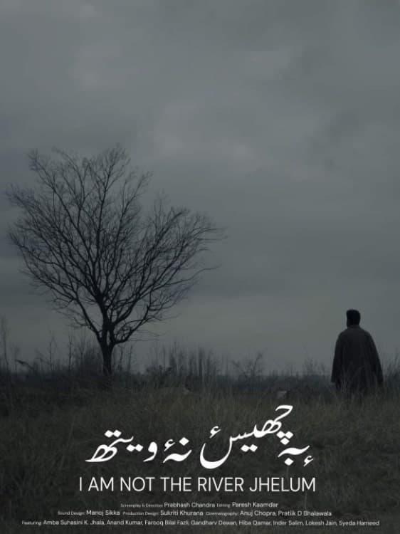 I'm Not The River Jhelum poster