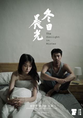 The Sunlight in Winter poster