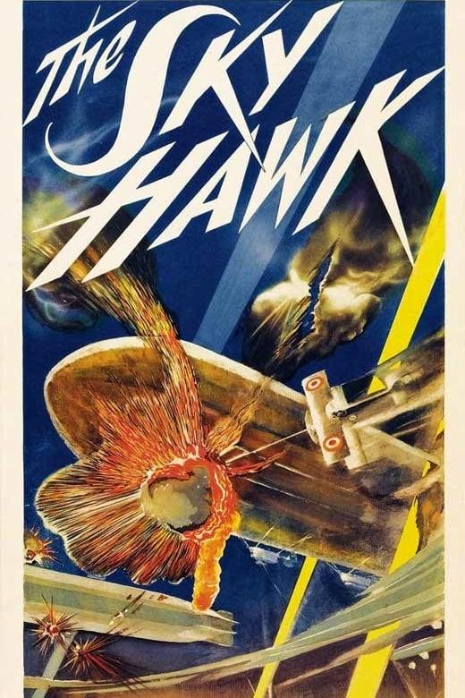 The Sky Hawk poster