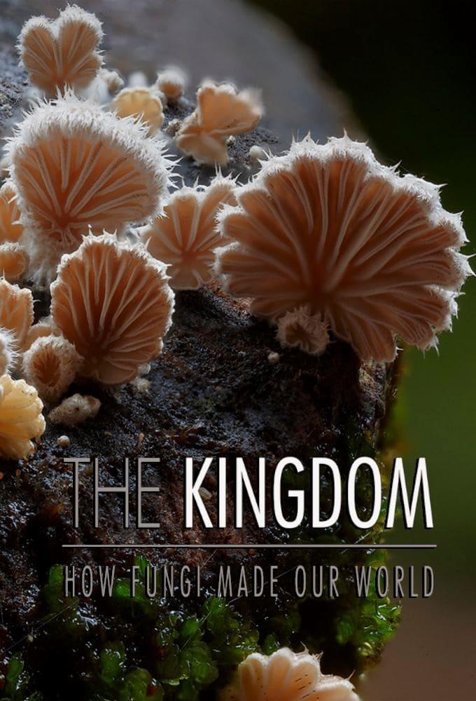 The Kingdom: How Fungi Made Our World poster