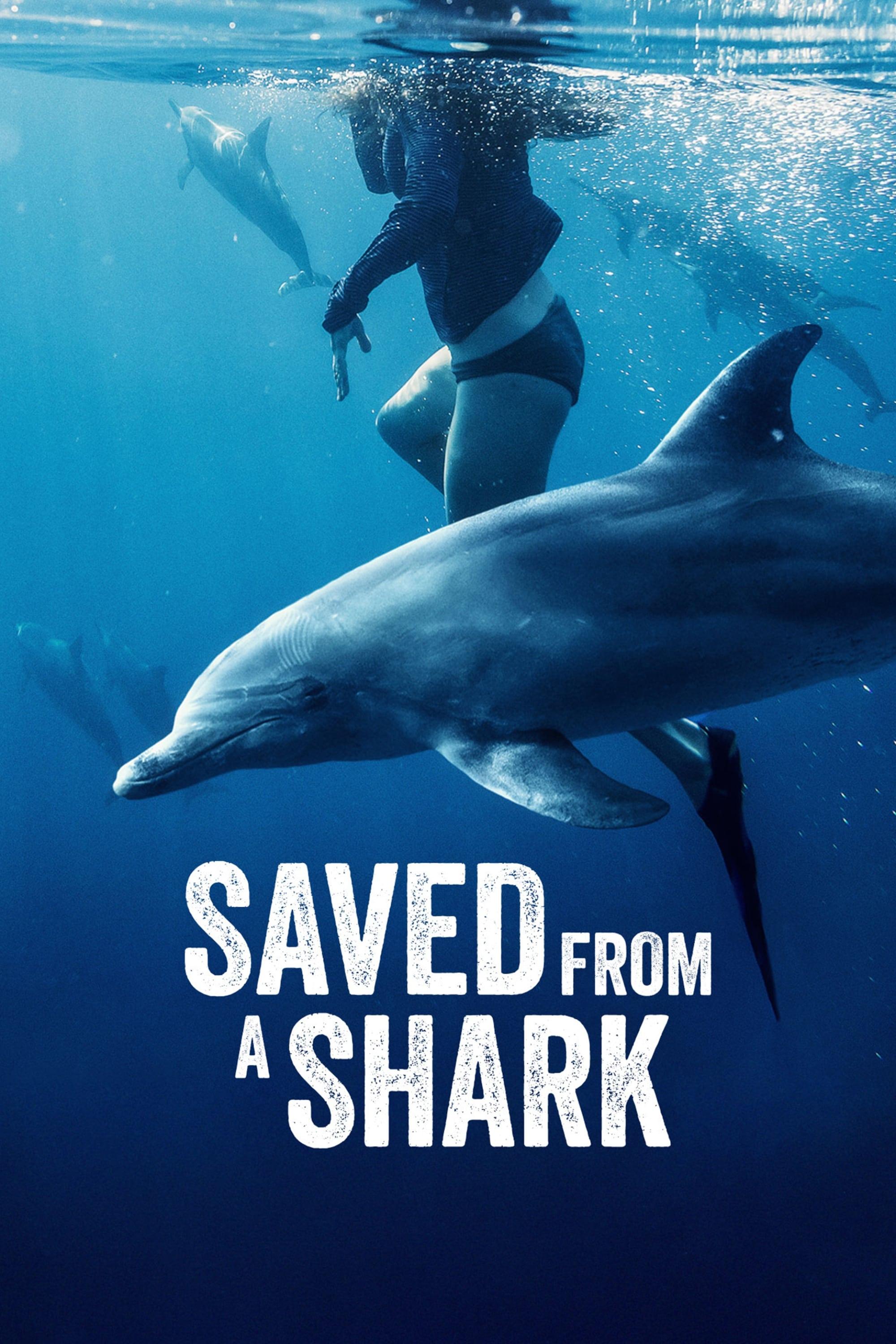 Saved From a Shark poster