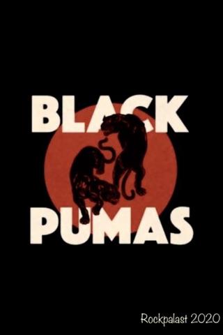 Black Pumas - Rockpalast poster