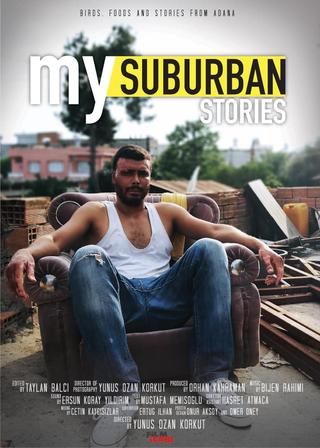 my suburban stories poster