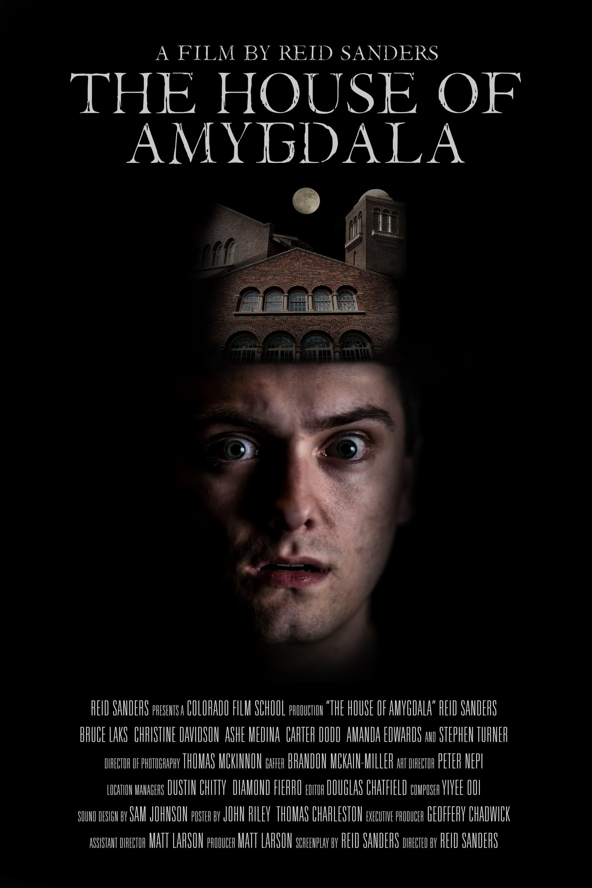 The House of Amygdala poster