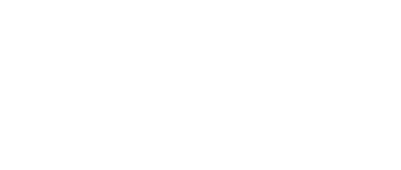 Miraculous Brothers logo