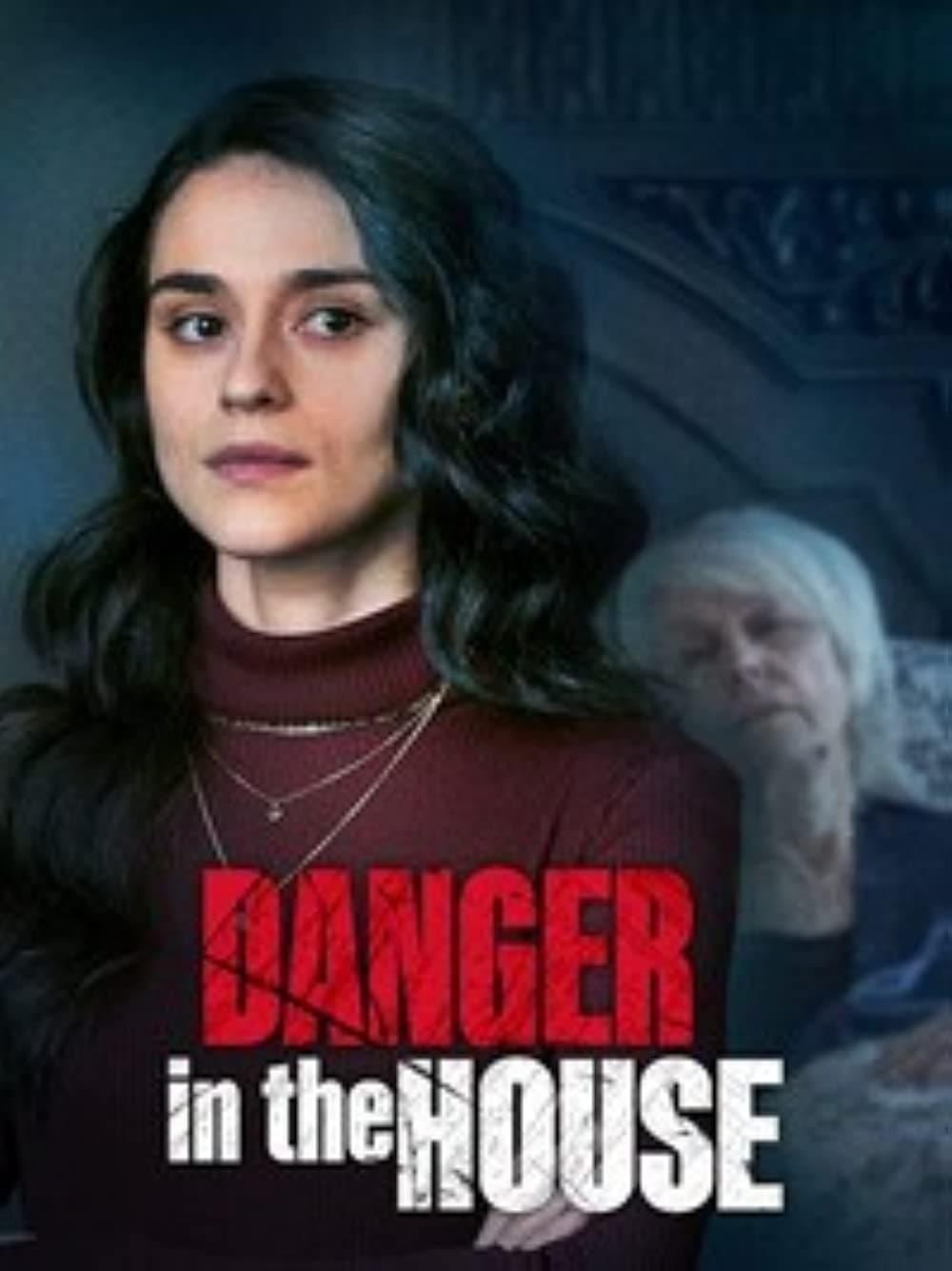 Danger in the House poster