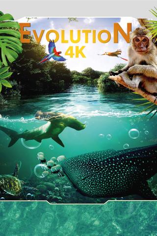 Evolution 4K poster