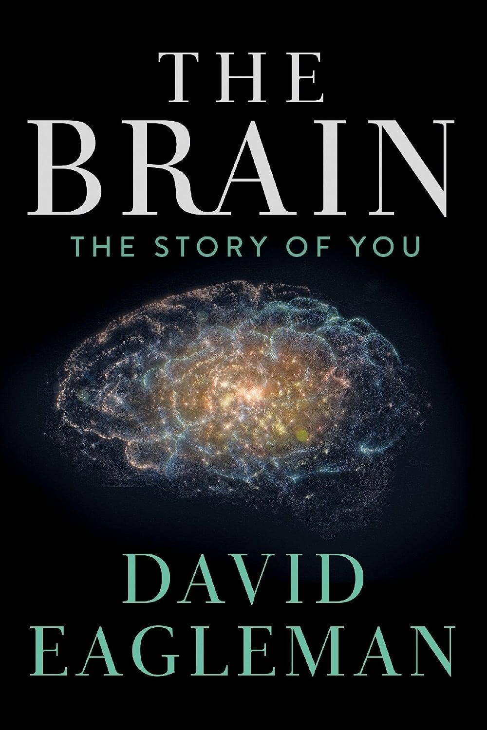 The Brain with David Eagleman poster