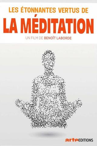 Les étonnantes vertus de la méditation poster