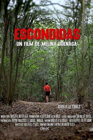 Escondidas poster