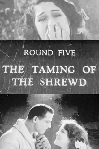 The Taming of the Shrewd poster