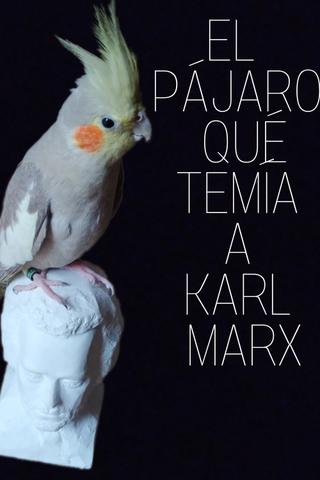 El pájaro que temía a Karl Marx poster