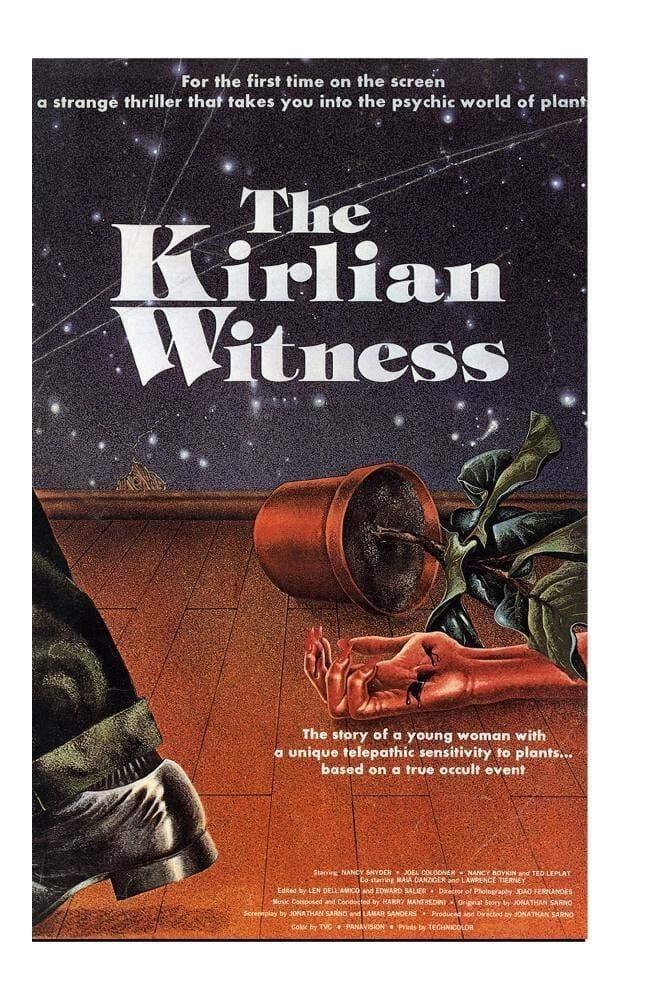 The Kirlian Witness poster
