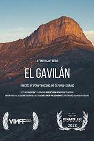 El Gavilan poster